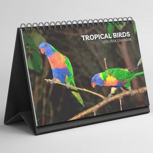 Tropical Birds Desk Calendar 2026-2027: Standing Flip Desktop Calendar with Thick Paper (15.25cm x 22cm - similar to A5)