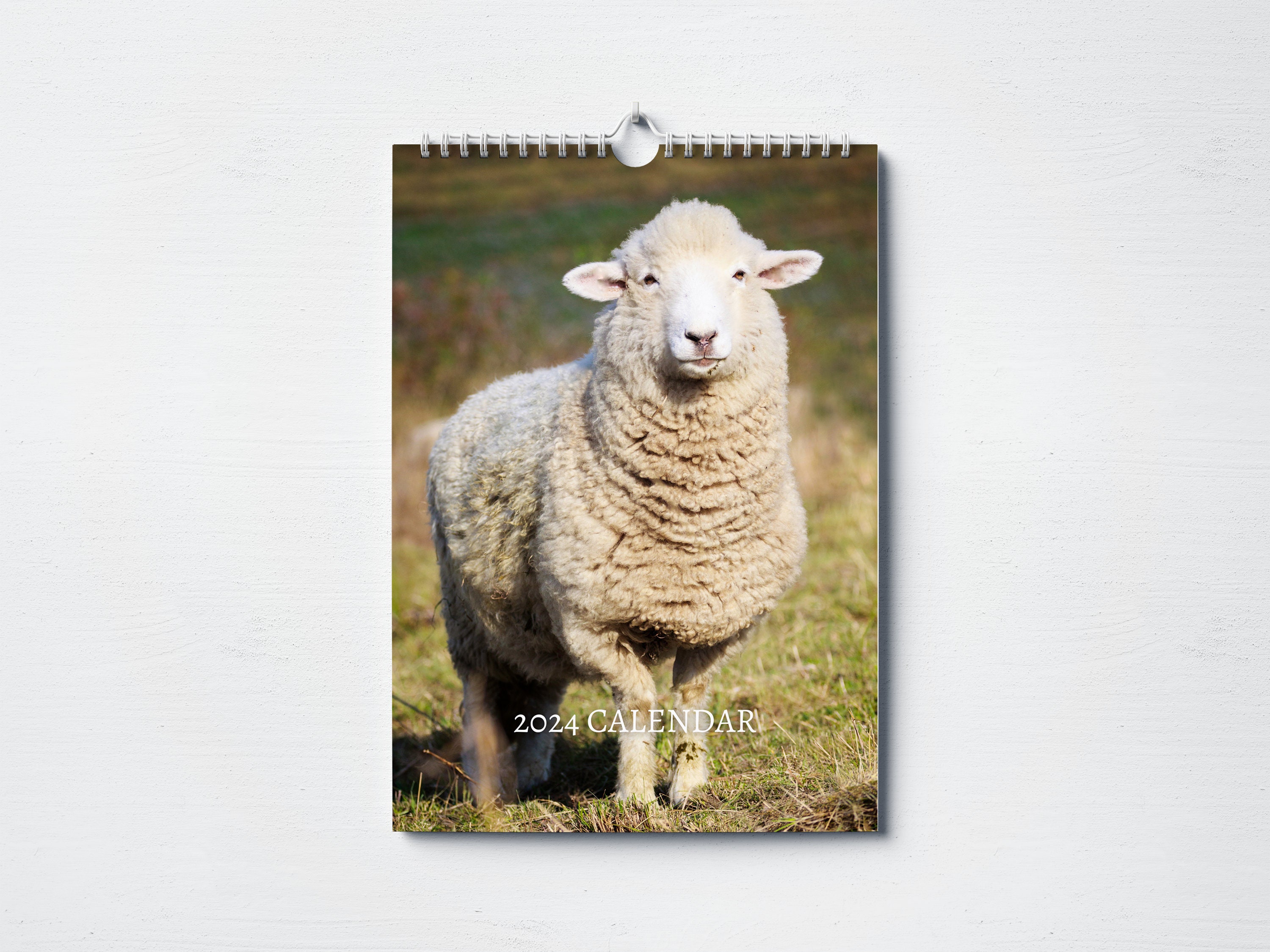 Sheep Calendar 2024 Monthly Wall Calendar, A4 Hanging Calendar Perfect