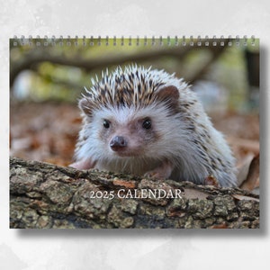 Calendario Hedgehog 2025: calendario mensile da parete con note, si apre in formato A3, include date e festività chiave