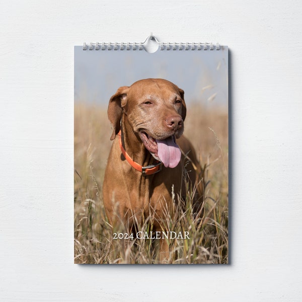 Vizsla Calendar Etsy UK
