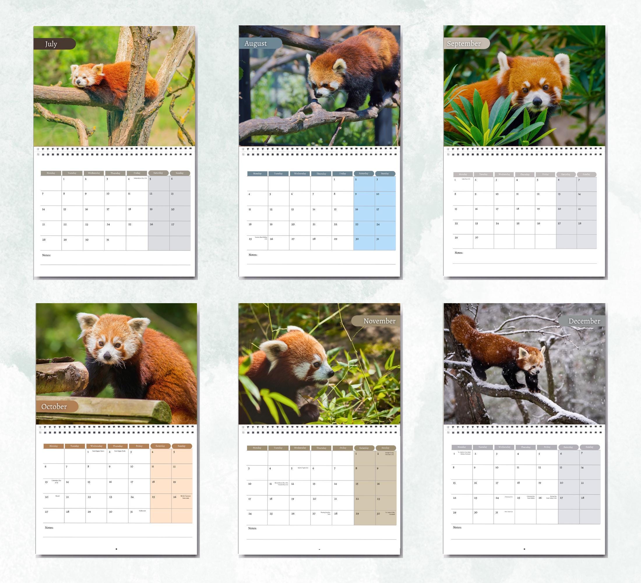 Red Panda Calendar 2026: Monthly Wall Calendar With Notes, Opens to A3 ...