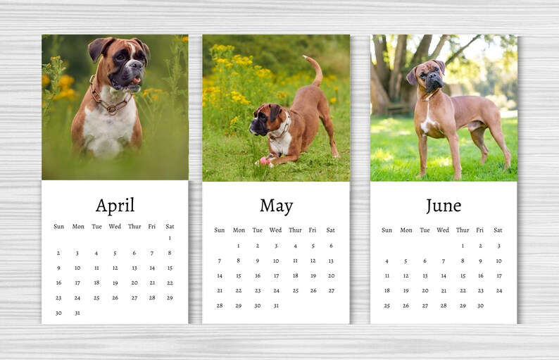 Boxer Calendar 2024 Mini Desk Calendar Boxer Calendar Etsy UK