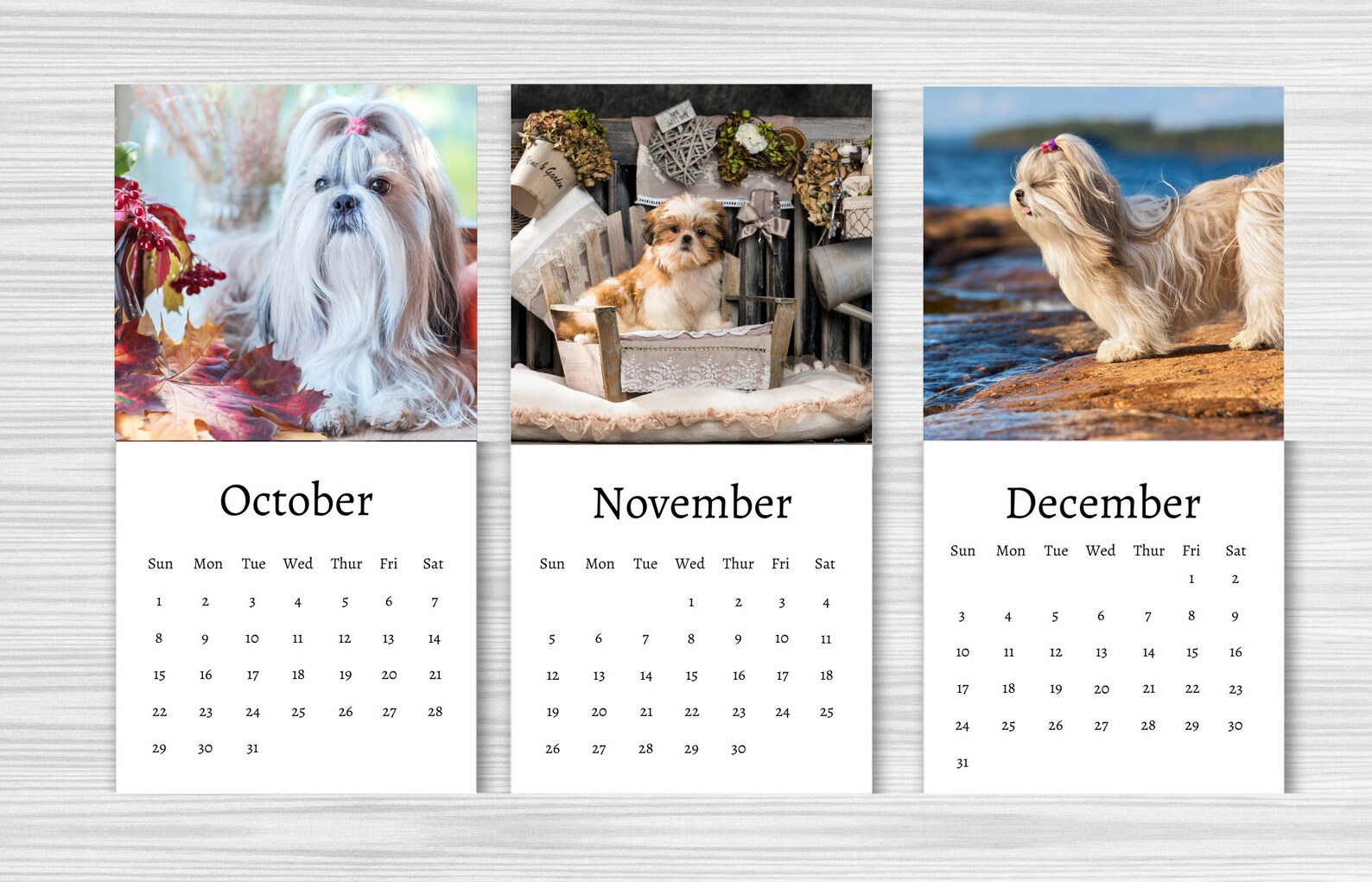 Shih Tzu Calendar 2024 Mini Desk Calendar Shih Tzu Etsy Canada