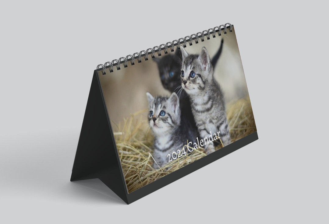 Kitten Desk Calendar 2024 Desktop Calendar Kitten Calendar 20242025