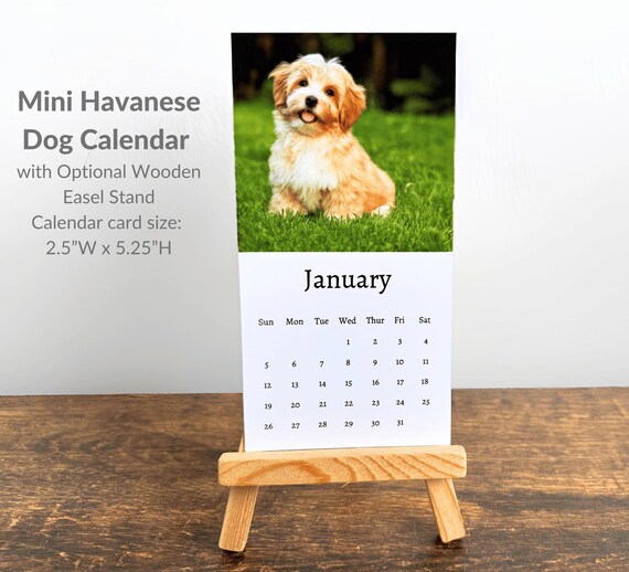 2026 Dog Calendar with Easel 2026 Dog Calendar with Easel