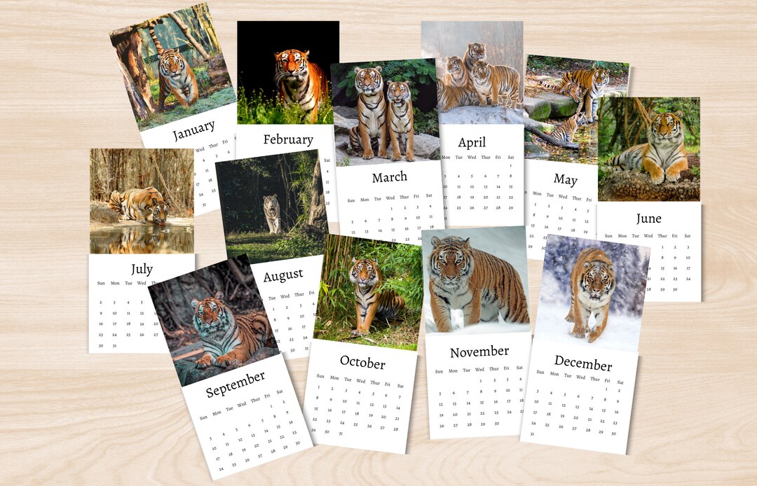 Tiger Calendar 2024 Mini Desk Calendar Tiger Calendar Etsy