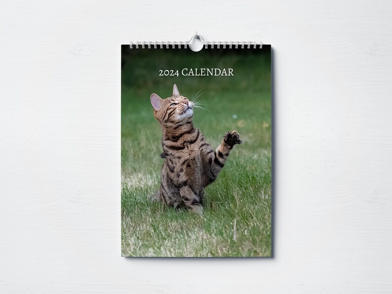 Bengal Cat Calendar 2024 Monthly Wall Calendar, A4 Size Hanging