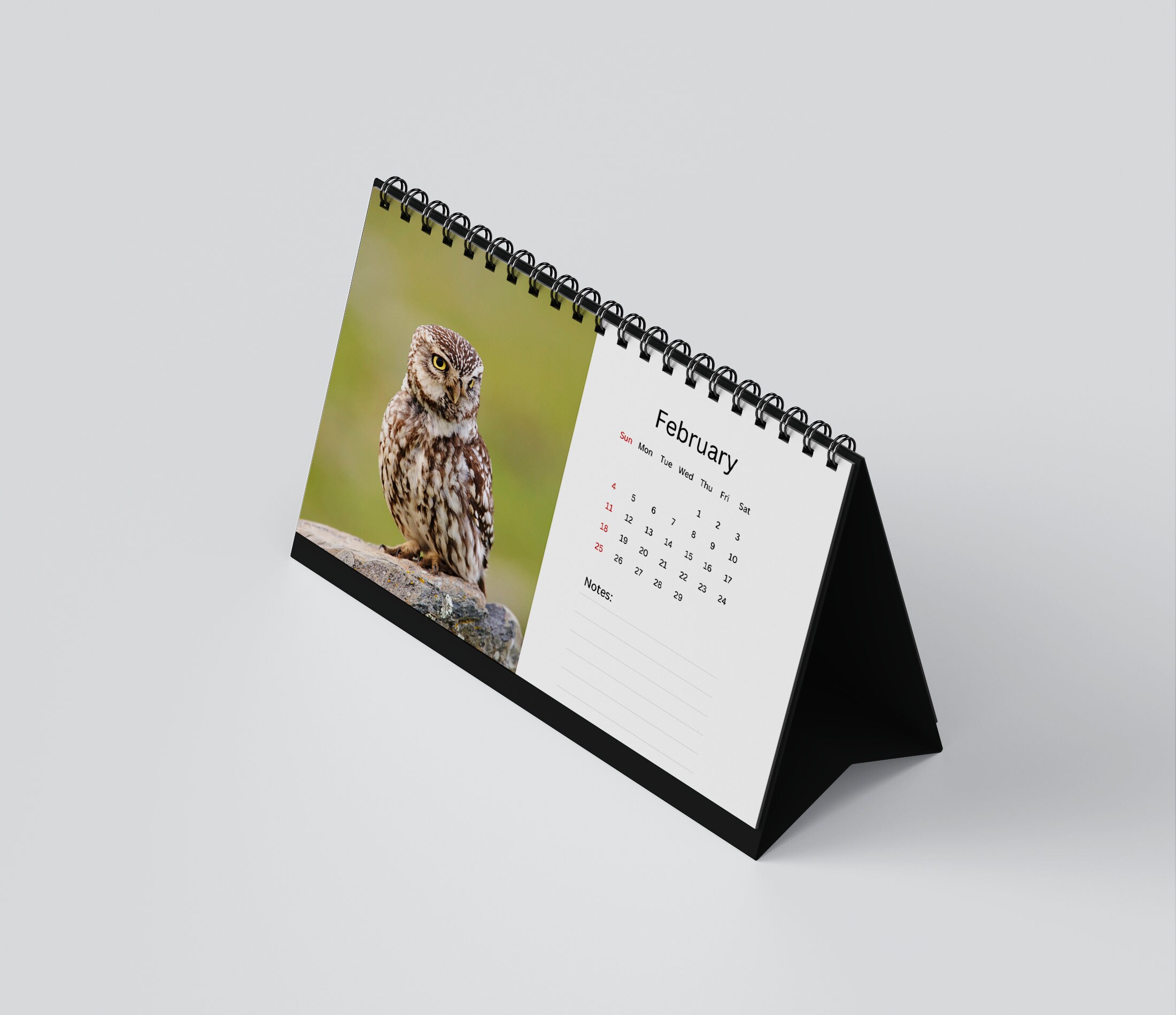 Owl Desk Calendar 2024 Desktop Calendar Owl Calendar Etsy