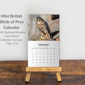 British Birds of Prey Calendar 2026: Mini Desk Calendar, British Birds of Prey Calendar 2026-2027, Perfect gift for stocking filler