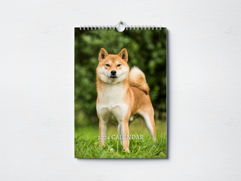 Shiba Inu Calendar 2025 Monthly Wall Calendar A4 Hanging Etsy UK