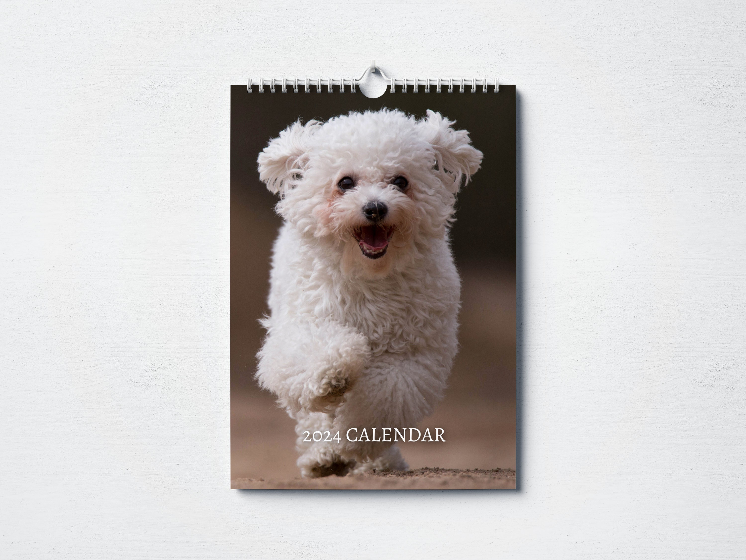 Bichon Frise Calendar 2024 Monthly Wall Calendar A4 Size Etsy UK