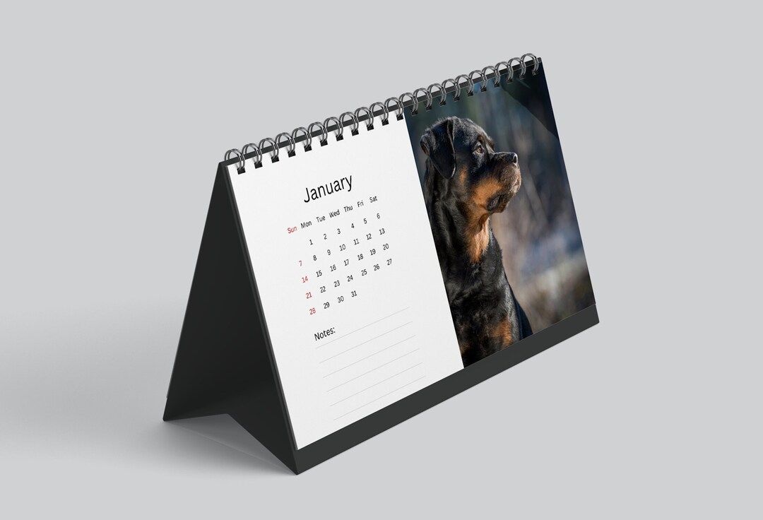 Rottweiler Desk Calendar 2024 Desktop Calendar Rottweiler Calendar 2024