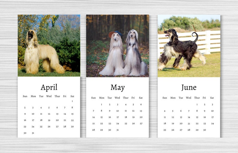 Afghan Hound Calendar 2024 Mini Desk Calendar Afghan Hound - Etsy Canada Afghan Hound Calendar 2024 Mini Desk Calendar Afghan Hound - Etsy Canada