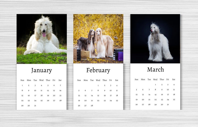 Afghan Hound Calendar 2024 Mini Desk Calendar Afghan Hound - Etsy Canada Afghan Hound Calendar 2024 Mini Desk Calendar Afghan Hound - Etsy Canada