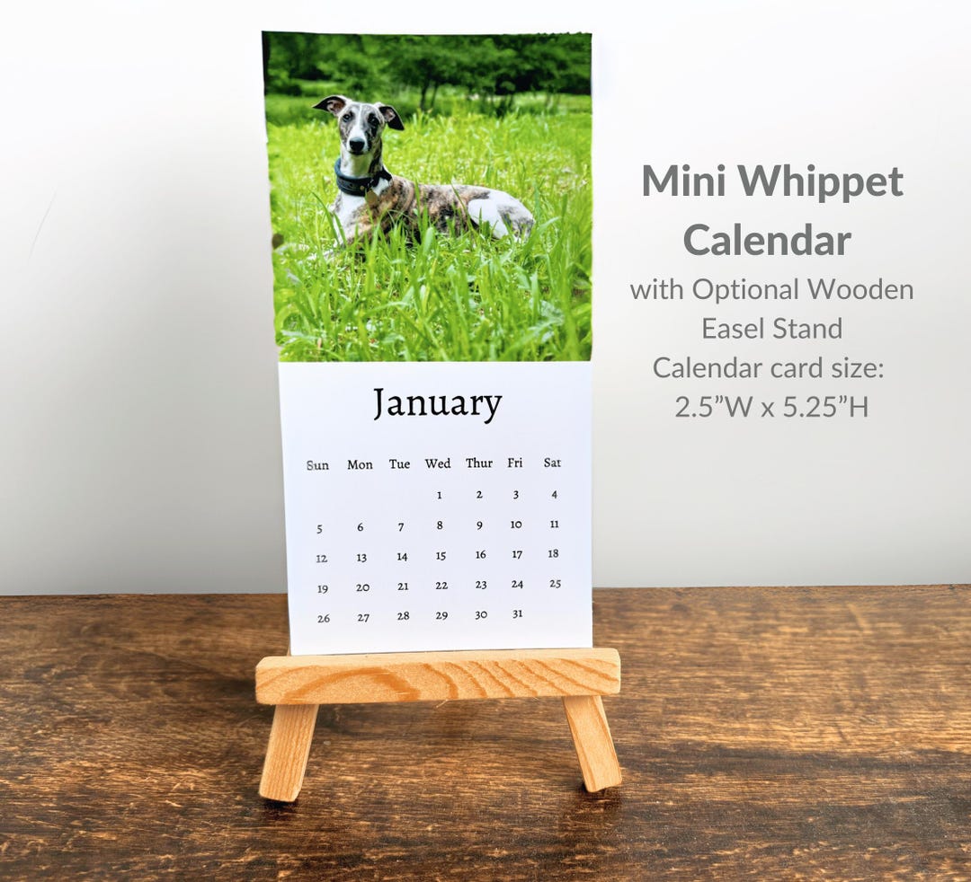 Whippet Calendar 2025 Mini Desk Calendar, Whippet Calendar 20252026
