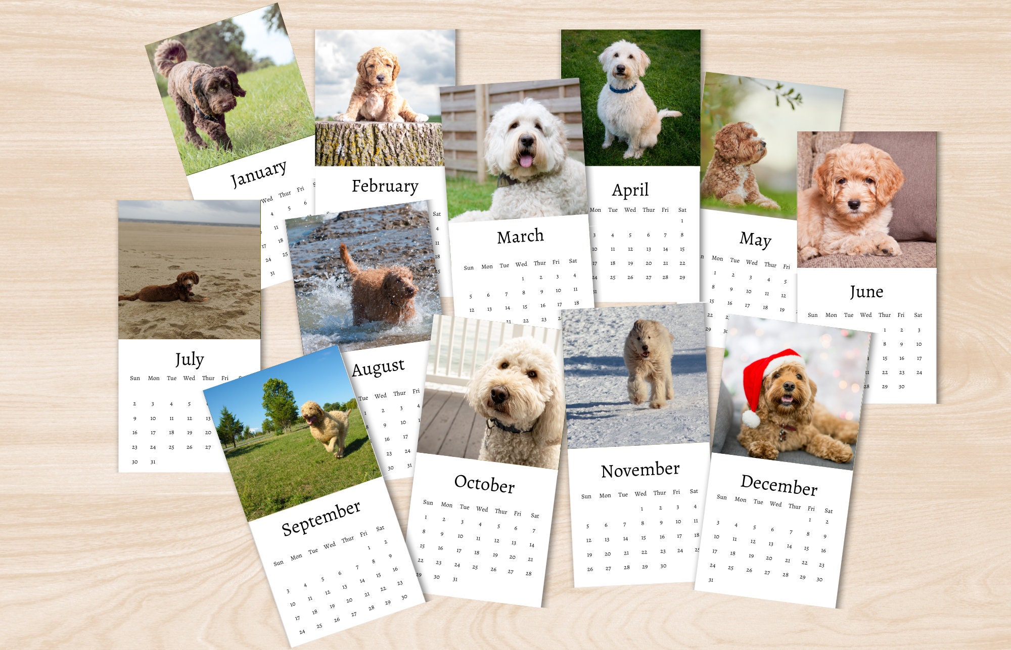 Labradoodle Calendar 2024 Mini Desk Calendar Labradoodle Etsy Australia