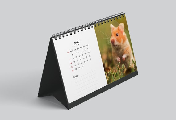 Hamster Calendar 2025 - bernie pamela