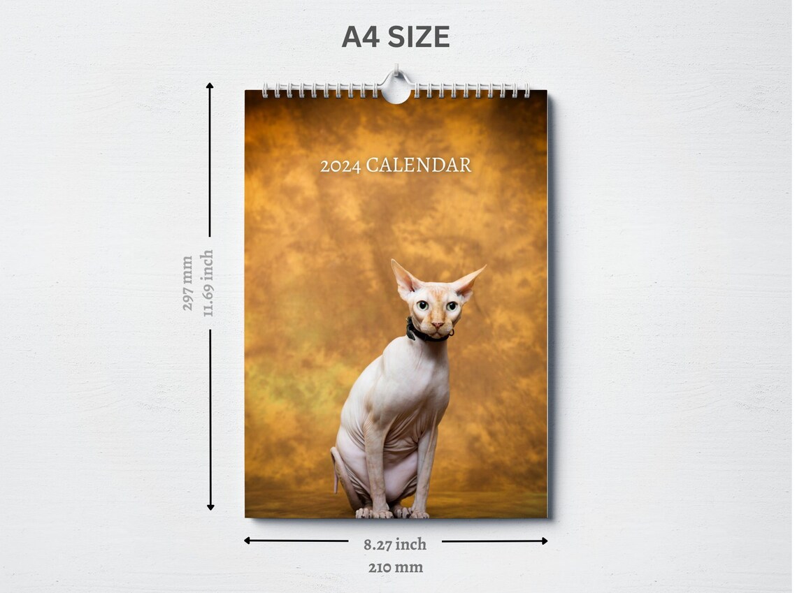 Sphynx Cat Calendar 2024 Monthly Wall Calendar, A4 Hanging Calendar