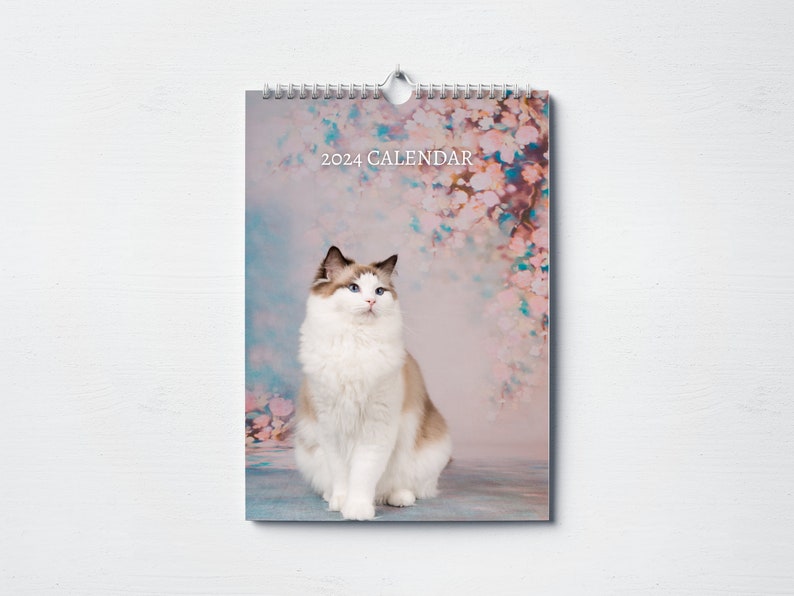 Ragdoll Cat Calendar 2024 Monthly Wall Calendar, A4 Hanging Calendar