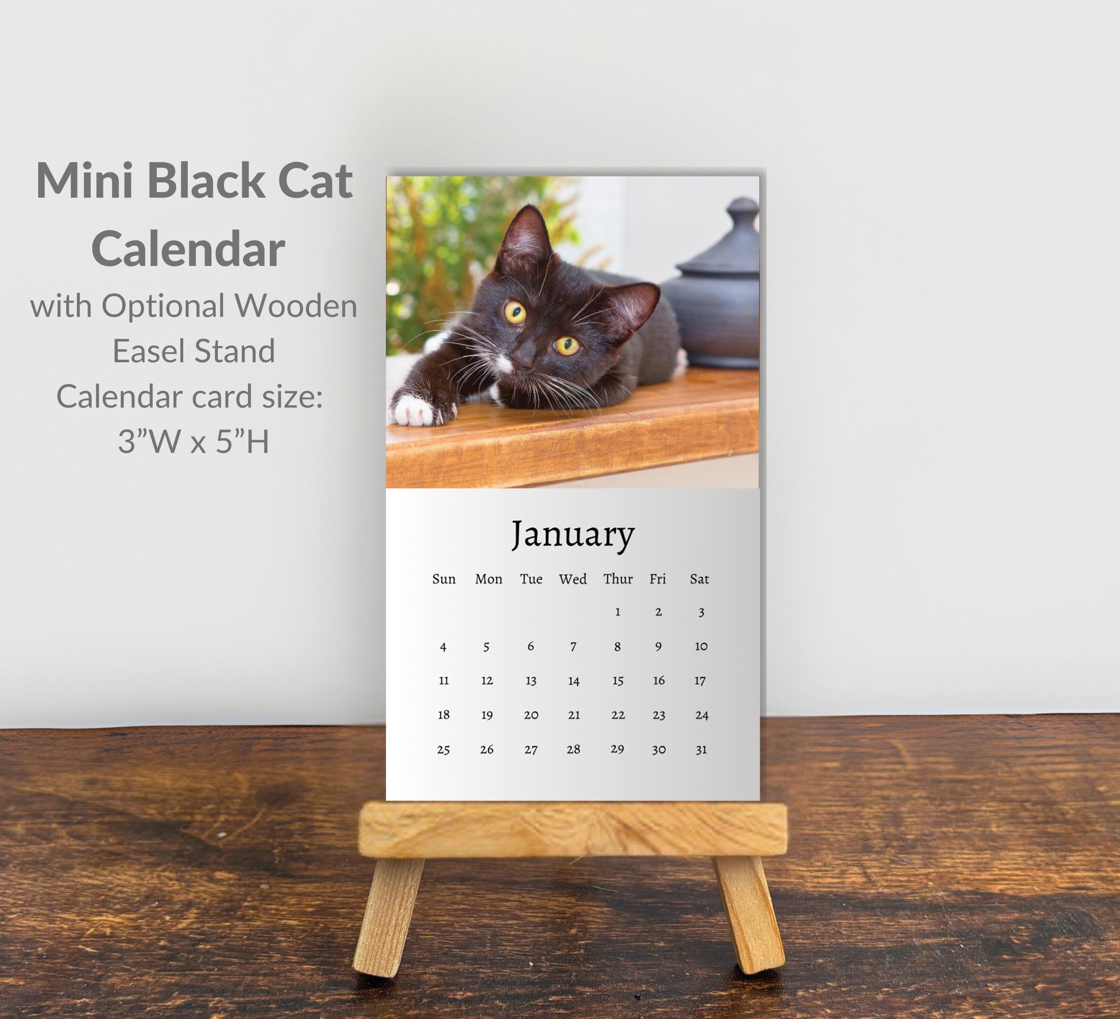Calendario De Gatos Divertidos 2026 / Planificador De Pared De 12 Meses - España