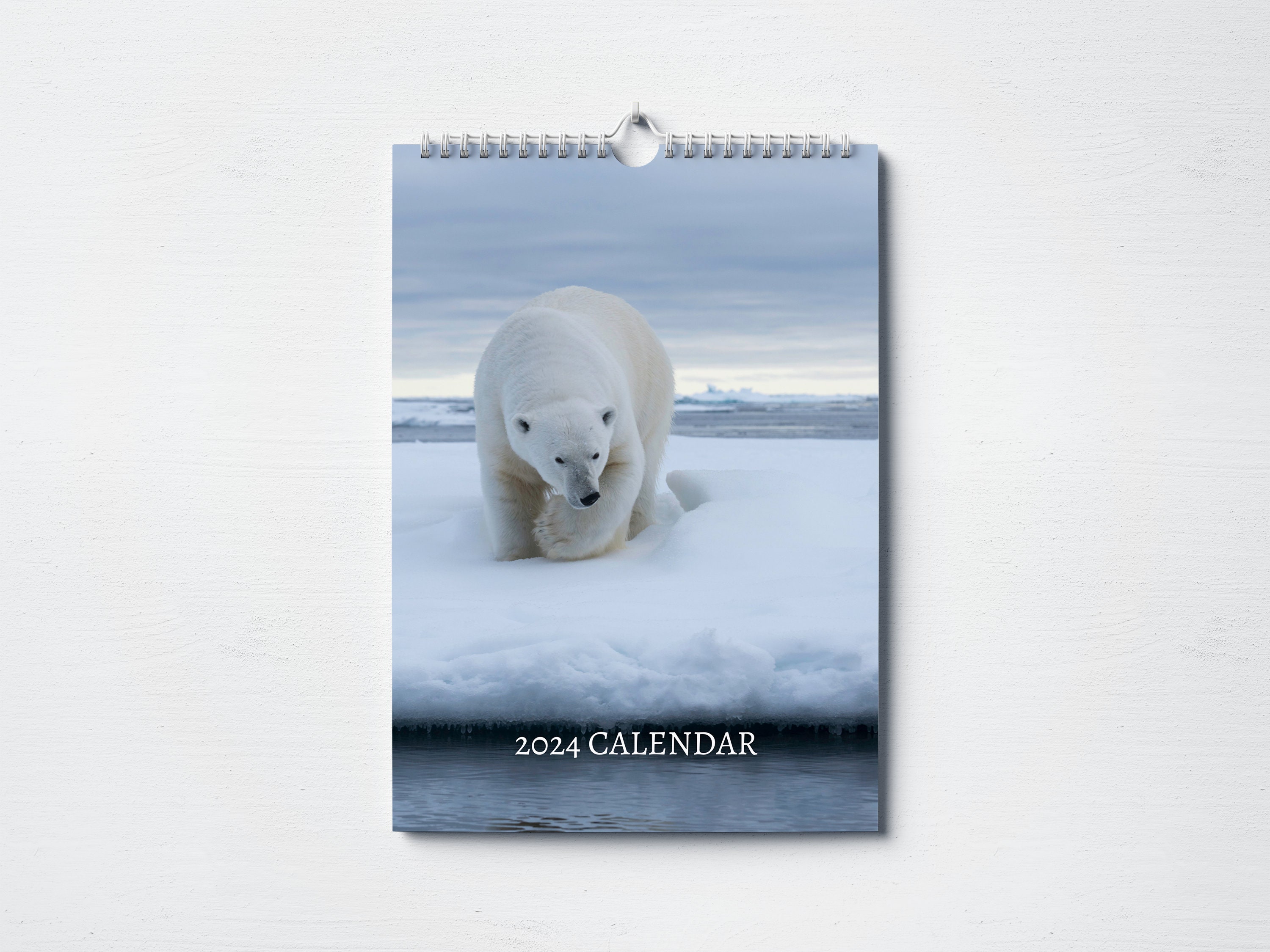 Polar Bear Calendar 2024 Monthly Wall Calendar A4 Hanging Etsy Canada