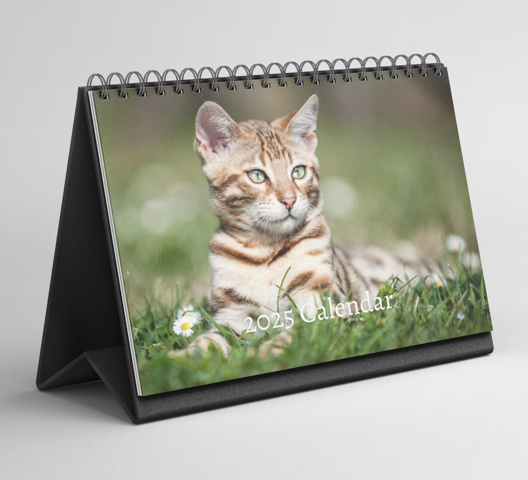Bengal Cat Desk Calendar 20252026 Standing Flip Desktop Calendar With