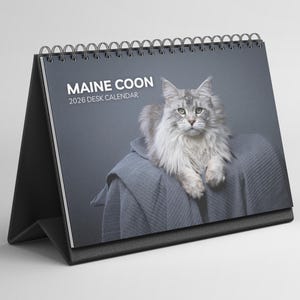 Op de afbeelding: Een bureaukalender met spiraalbinding en een zwarte standaard. De omslag toont een Maine Coon kat en de tekst "MAINE COON 2026 DESK CALENDAR". De kat is grijs en pluizig, liggend op een grijze deken.