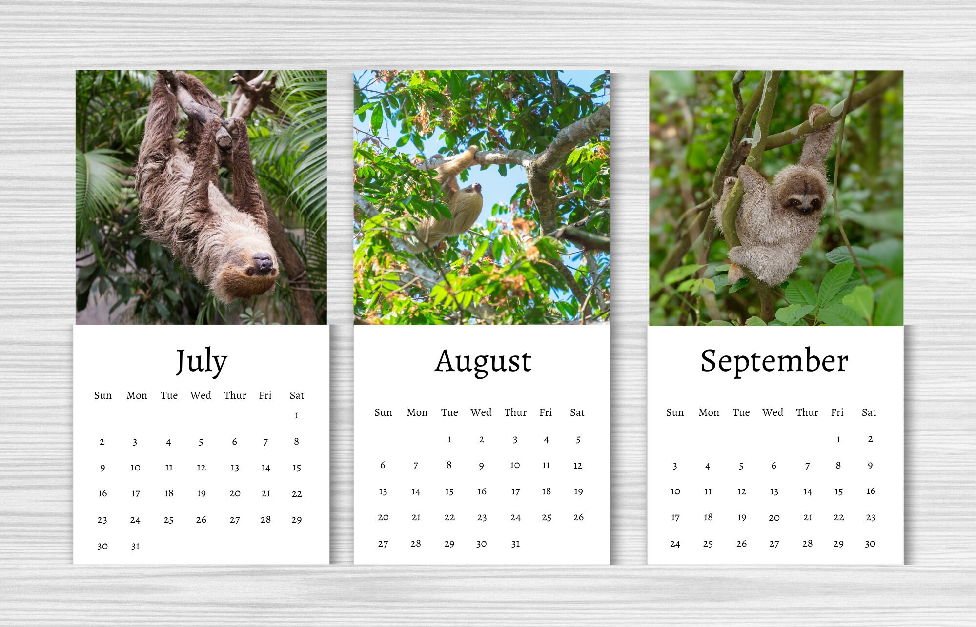 Sloth Calendar 2024 Mini Desk Calendar Sloth Calendar Etsy