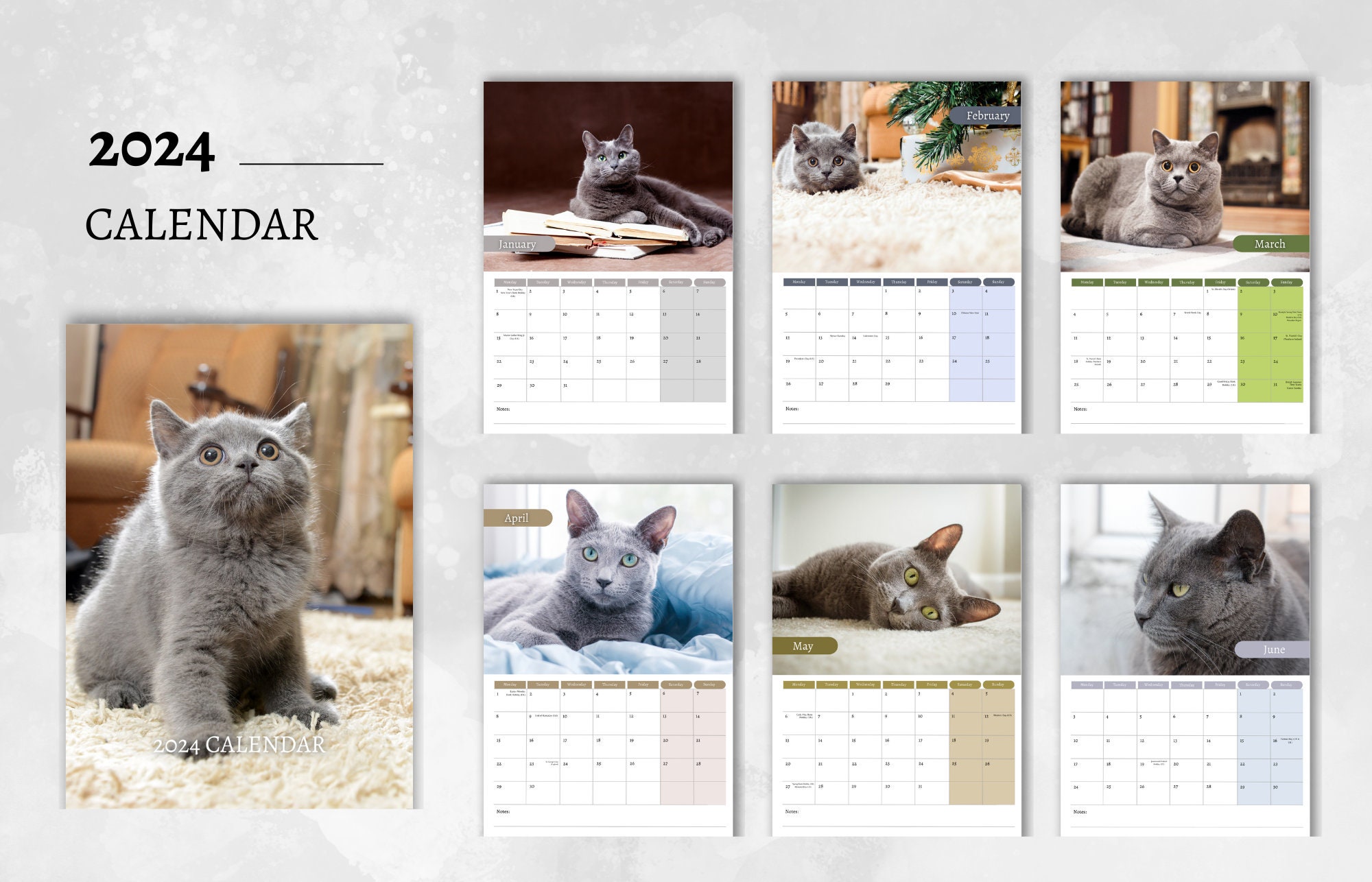 Russian Blue Cat Calendar 2024 Monthly Wall Calendar, A4 Hanging