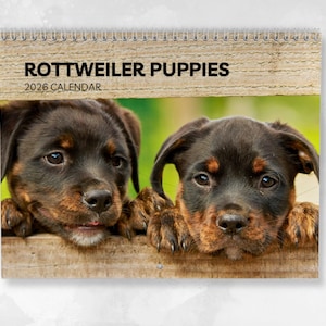 Rottweiler Puppies Calendar 2026: Monthly Wall Calendar with Notes, opens to A3 Size, Includes key dates & holidays