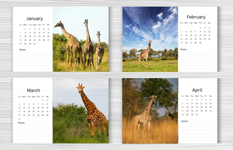 Giraffe Desk Calendar 2024 Desktop Calendar Giraffe Etsy