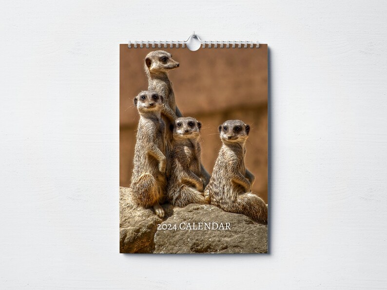 Meerkat Gifts