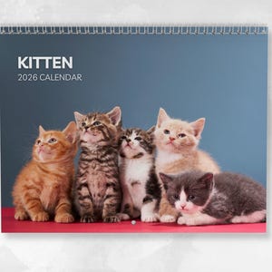 Pode incluir: Um calendário de 2026 com cinco gatinhos de várias cores, incluindo laranja, tigrado e cinza, sobre um fundo azul. O título do calendário é "Kitten 2026 Calendar".