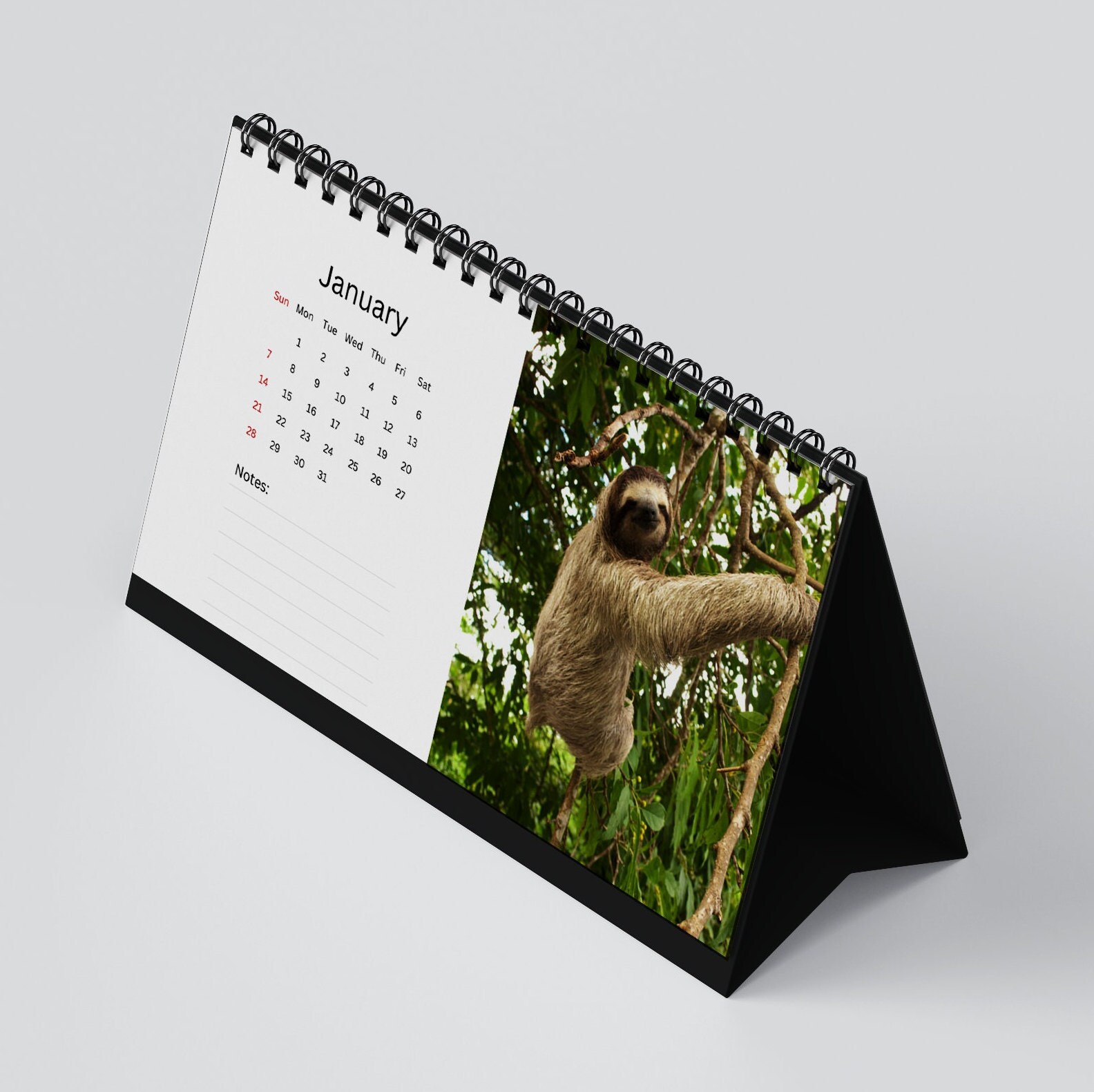 Sloth Desk Calendar 2024 Desktop Calendar Sloth Calendar 20242025