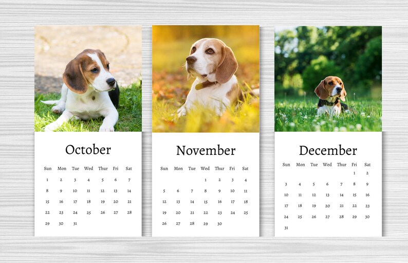 Beagle Calendar 2024 Mini Desk Calendar Beagle Calendar Etsy UK