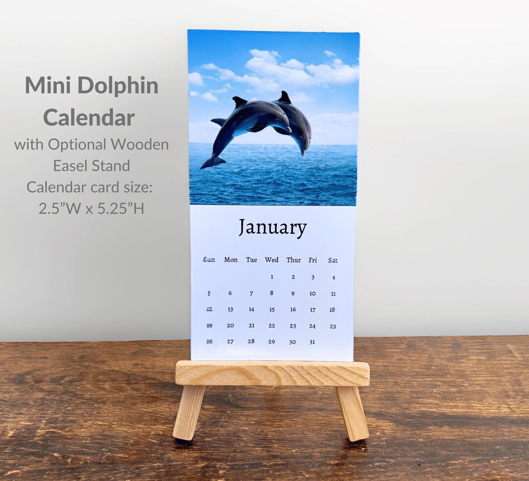 Dolphin Calendar 2025 Mini Desk Calendar, Dolphin Calendar 20252026