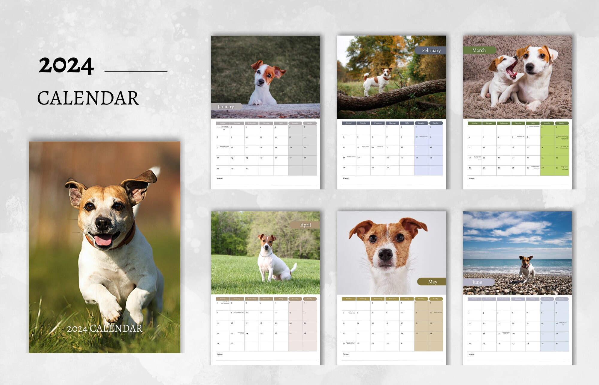 Jack Russell Calendar 2024 Monthly Wall Calendar, A4 Hanging Calendar
