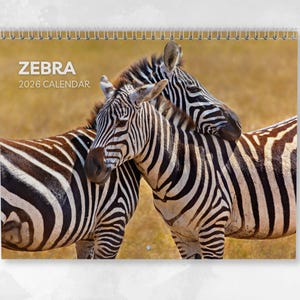 Puede incluir: Calendario de espiral de 2026 con dos cebras a rayas blancas y negras. La portada muestra la palabra "ZEBRA" sobre "2026 CALENDAR" en texto blanco sobre un fondo beige.
