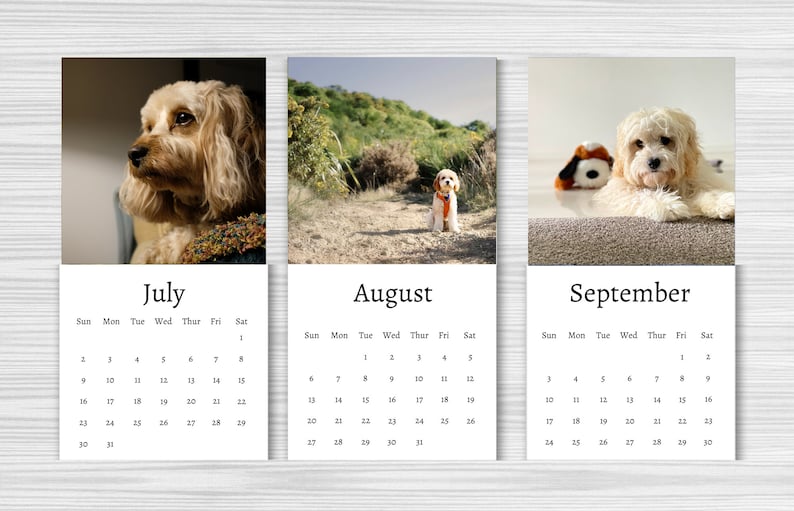 Cavapoo Calendar 2024 Mini Desk Calendar Cavapoo Calendar - Etsy UK