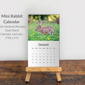 Rabbit Calendar 2026: Mini Desk Calendar, Rabbit Calendar 2026-2027, Perfect gift for stocking fillers and Rabbit lovers