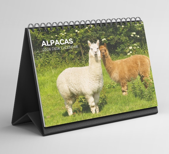 12/8中迄 あるぱかさま限定出品 @fuwari_baby_alpaca ←ベビー 12/8中迄 あるぱかさま限定出品 @fuwari_baby_alpaca ←ベビー