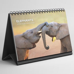 May include: A desk calendar featuring a photograph of two elephants playfully interacting. The calendar is titled "ELEPHANTS 2026 DESK CALENDAR" in white text. The calendar has a black stand and a spiral binding.