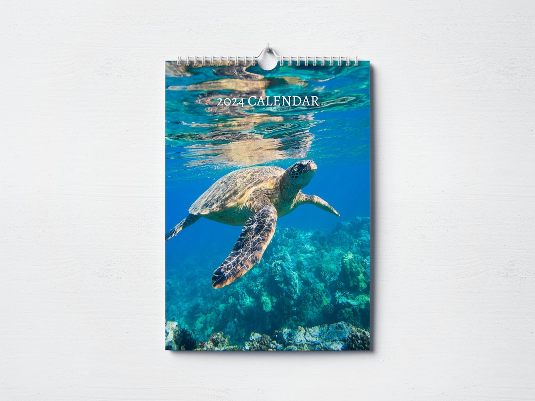 turtle-calendar-2024-monthly-wall-calendar-a4-hanging-etsy