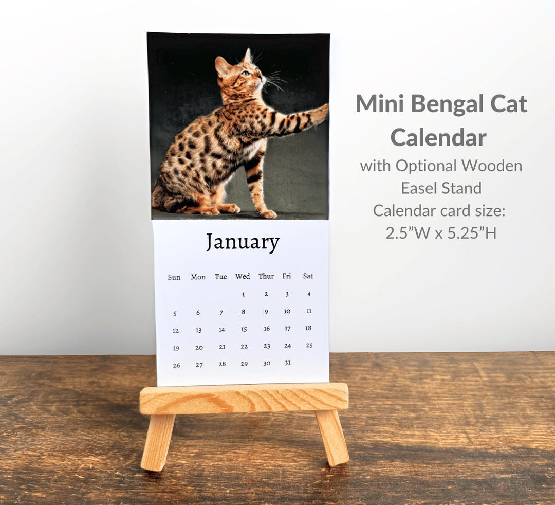 Bengal Cat Calendar 2025 Mini Desk Calendar, Bengal Calendar 20252026