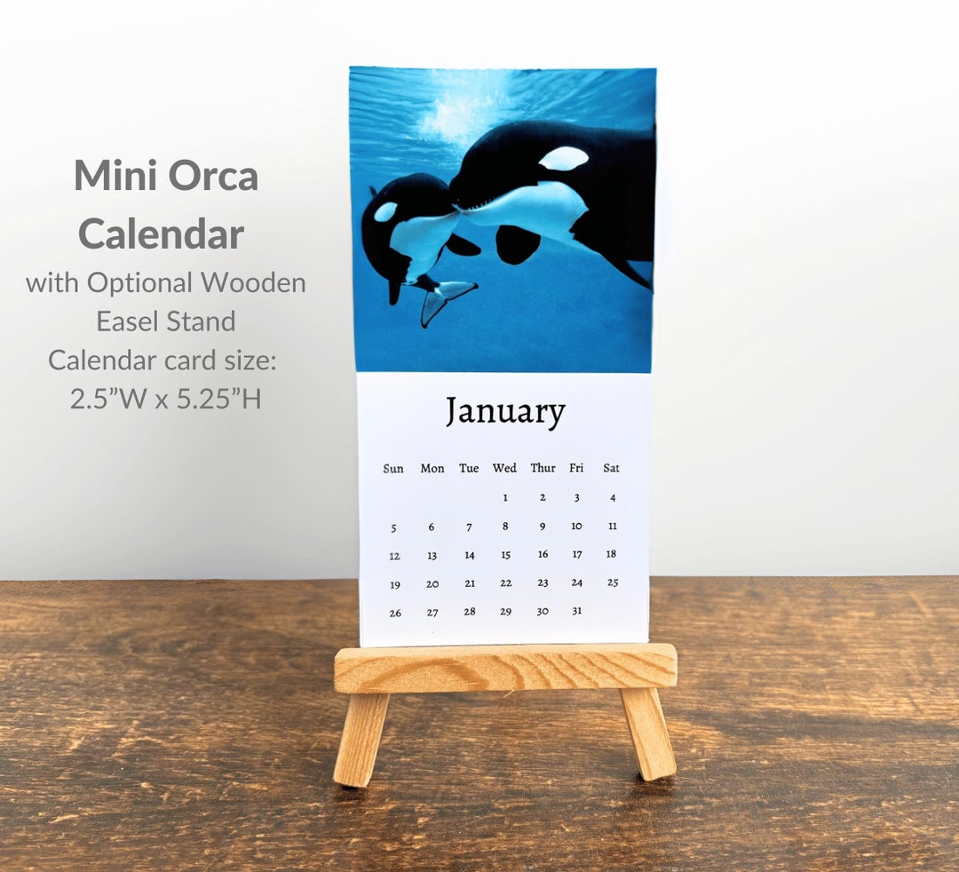 Orca Calendar 2025 Mini Desk Calendar, Orca Calendar 20252026
