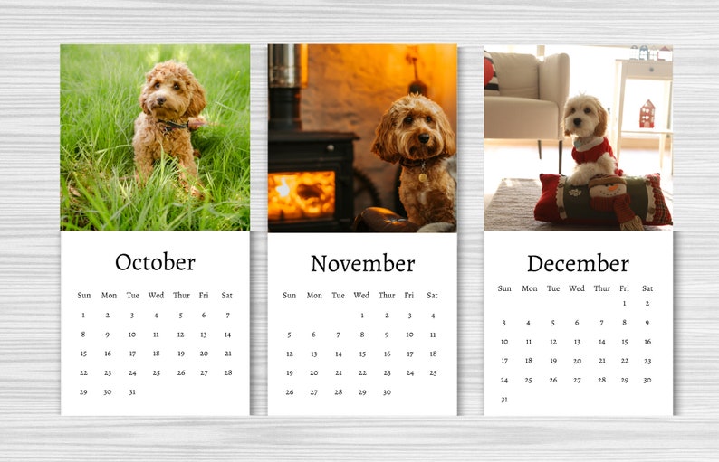 Cavapoo Calendar 2024 Mini Desk Calendar Cavapoo Calendar - Etsy Australia