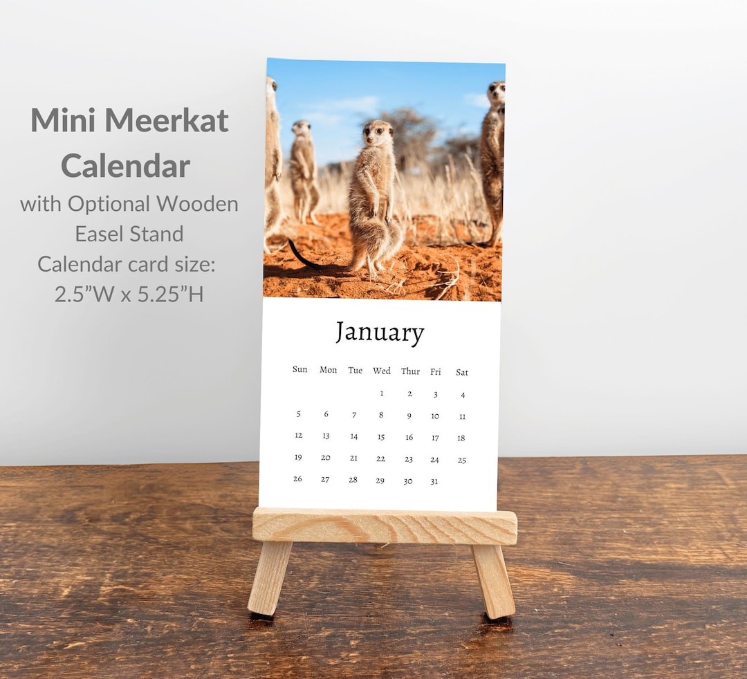Meerkat Calendar 2025 Mini Desk Calendar, Meerkat Calendar 20252026