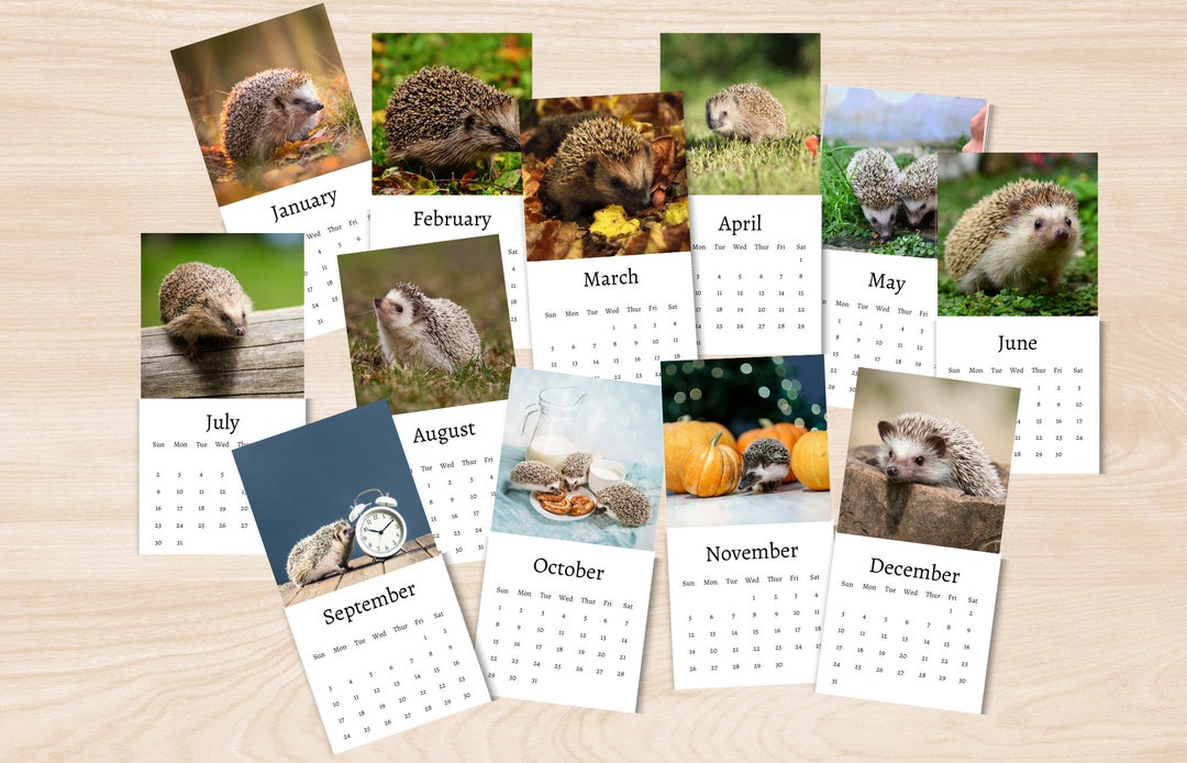 Hedgehog Calendar 2024 Mini Desk Calendar Hedgehog Calendar 20242025