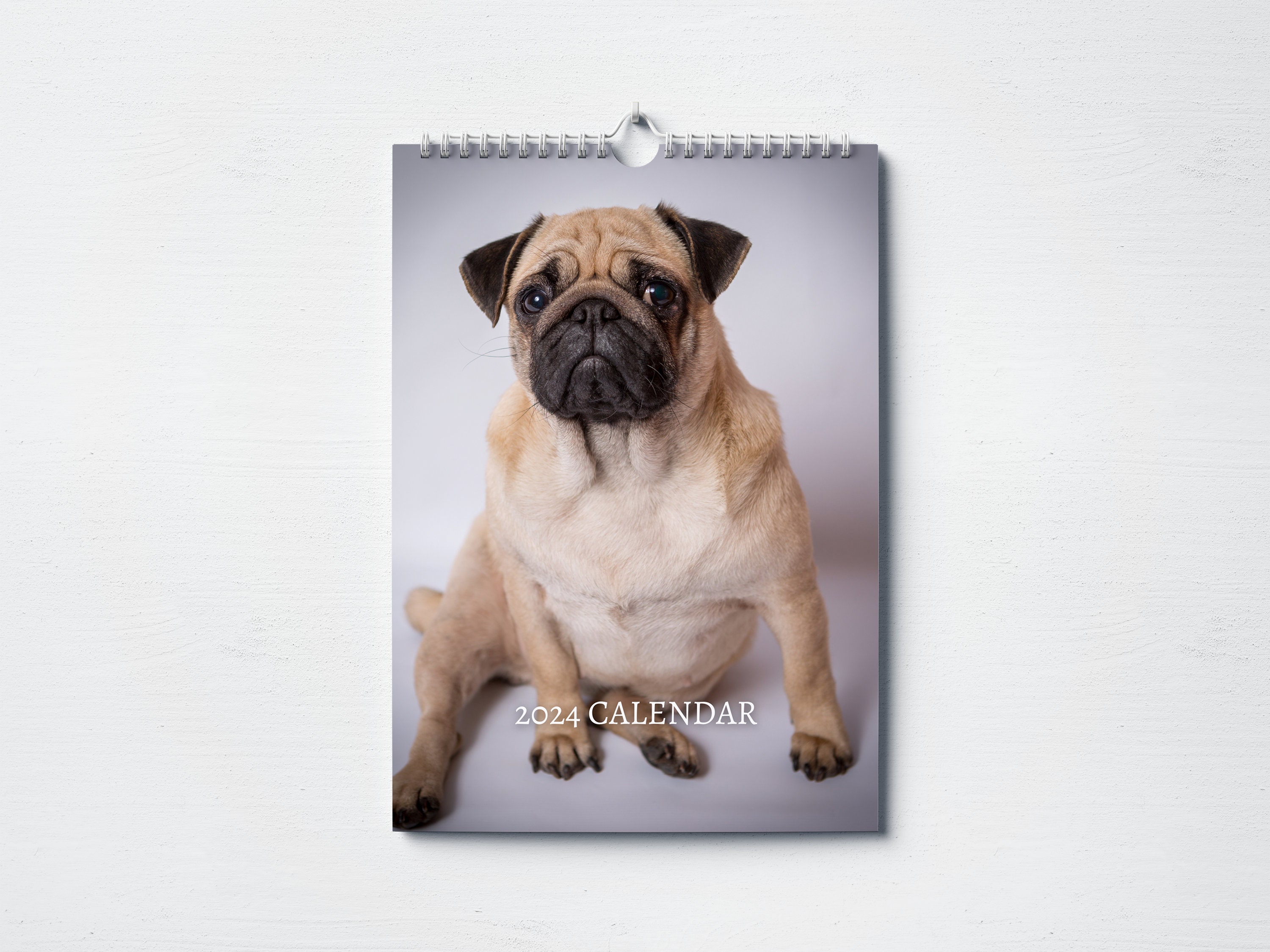 Pug Calendar 2024 Monthly Wall Calendar A4 Hanging Etsy
