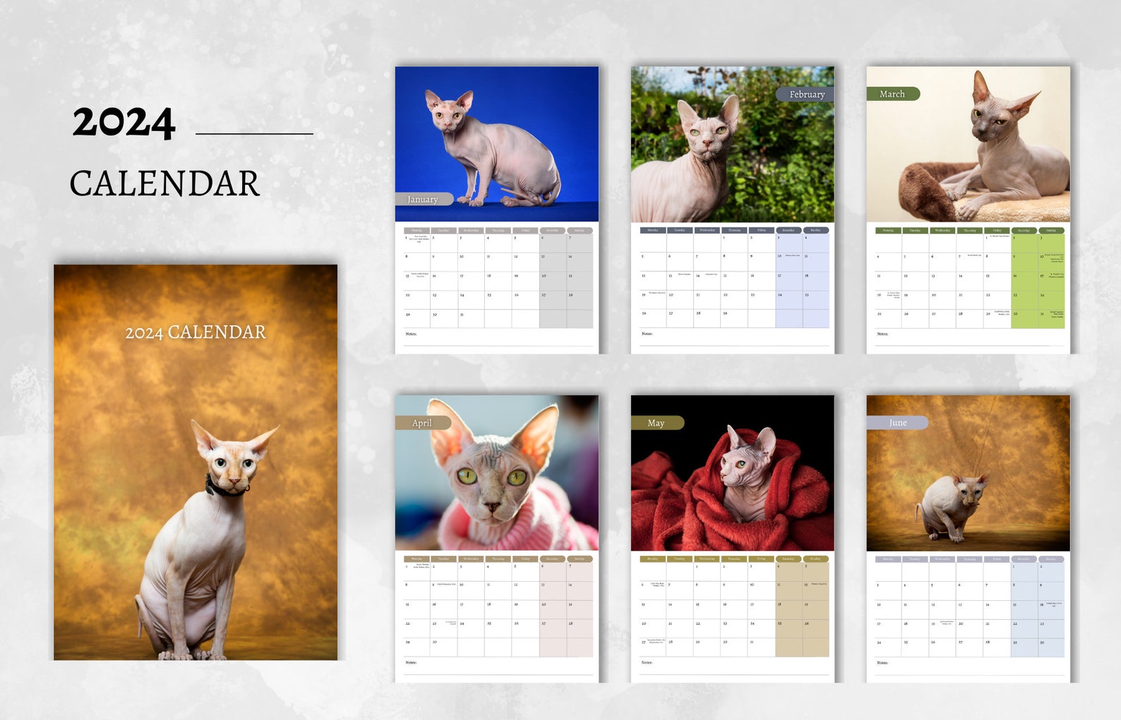 Sphynx Cat Calendar 2024 Monthly Wall Calendar, A4 Hanging Calendar